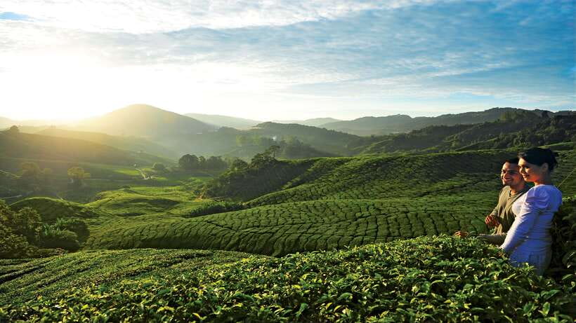 Cameron Highlands 1 Day Tour from Kuala Lumpur - Tanah Rata and Brinchang, two useful town stops