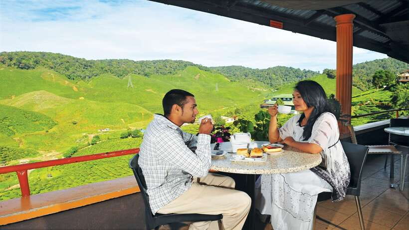 Cameron Highlands 1 Day Tour from Kuala Lumpur - What the private vehicle and guide add