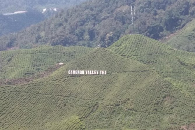 Cameron Highlands 3 Days 2 Night Tours Private (per Vehicle) - Why three days works better than a quick Cameron Highlands visit