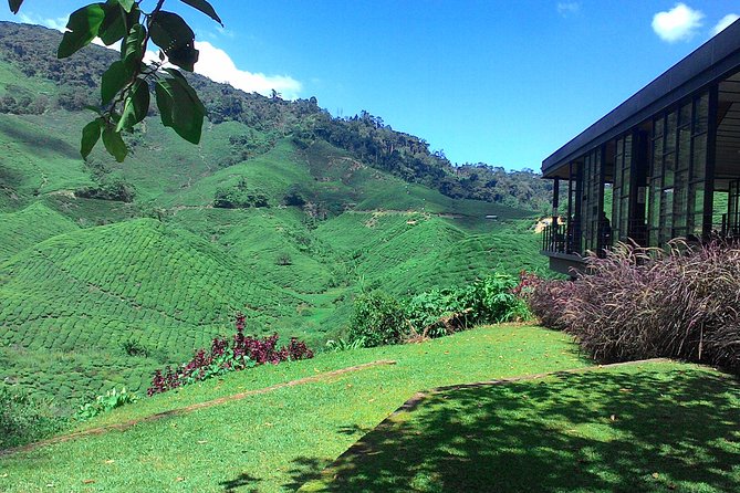 Cameron Highlands 3 Days 2 Night Tours Private (per Vehicle) - Lata Iskandar makes a good first stop