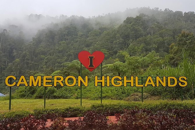 Cameron Highlands Amazing Day Trip Tour with Local Lunch - Key points to know before booking