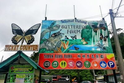 Cameron Highlands Amazing Day Trip Tour with Local Lunch