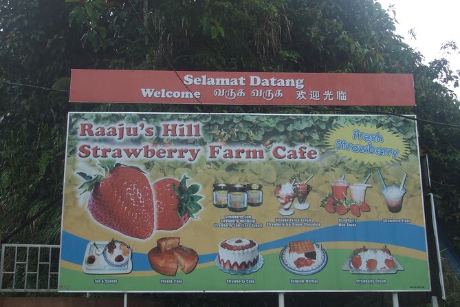 Cameron Highlands Amazing Day Trip Tour with Local Lunch - Cactus Valley above Brinchang