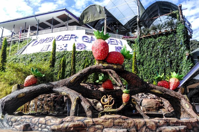 Cameron Highlands Day Trip From Kuala Lumpur - Lata Iskandar Begins the Climb