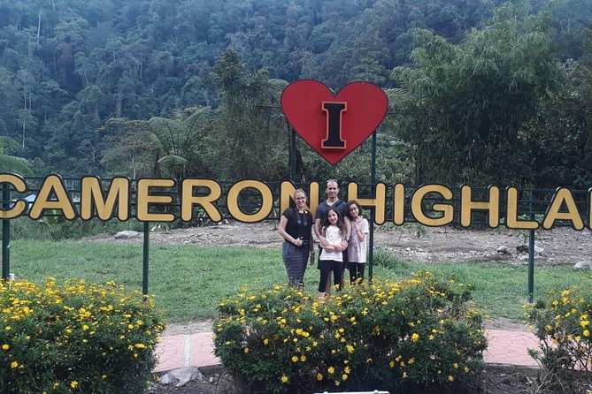 Cameron Highlands Day Trip From Kuala Lumpur - The Real Cost and What You Should Budget