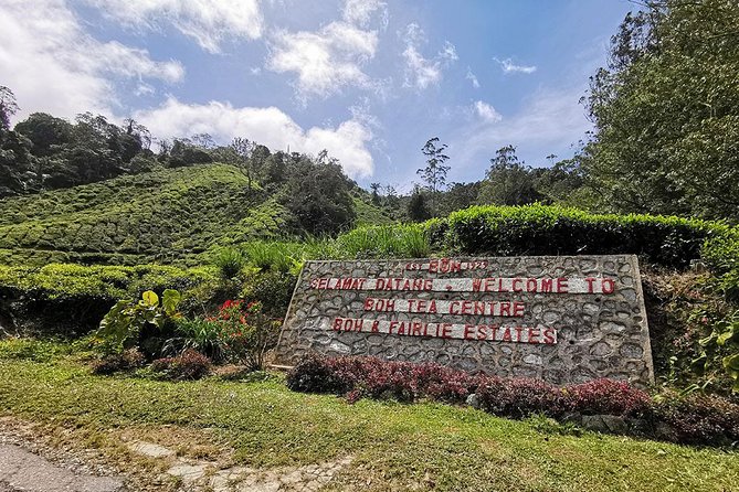Cameron Highlands Full-Day Nature Tour - BOH Tea Plantation, the day’s essential stop