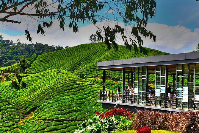 Cameron Highlands Full-Day Tour from Ipoh with Lunch - Lunch at Golfer’s Cafe breaks up the road