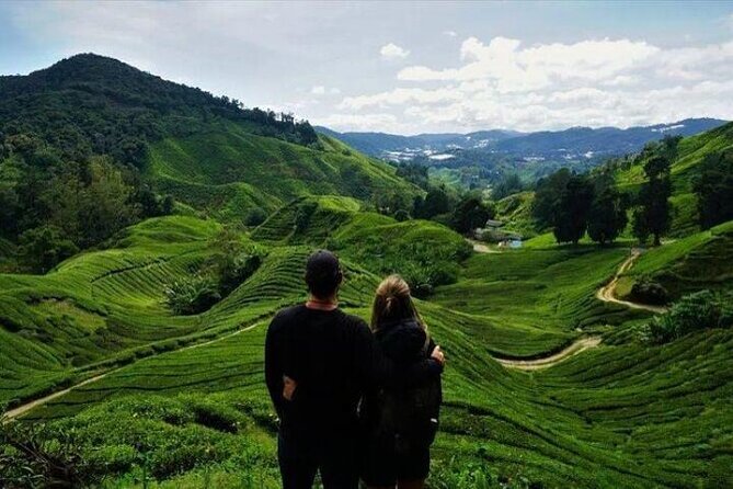 Cameron Highlands Full-Day Tour from Ipoh with Lunch - Sam Poh Temple offers a quiet hilltop pause
