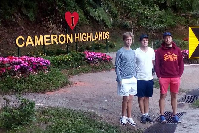 Cameron Highlands: Nature's Wonder Amazing Rafflesia Explorer - Butterfly, insect, strawberry, and waterfall stops