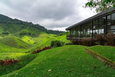 Cameron Highlands One Day Trip from Kuala Lumpur Privately Organised
