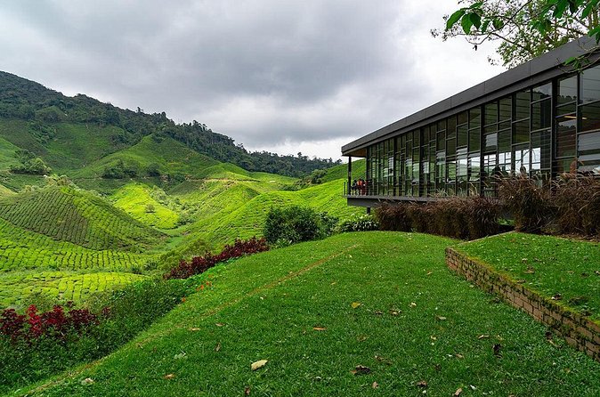 Cameron Highlands One Day Trip from Kuala Lumpur Privately Organised - What the $135 price really covers