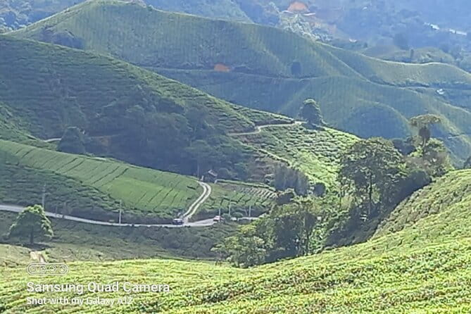 Cameron Highlands Private Day Tour from Ipoh, Package B - Key points at a glance