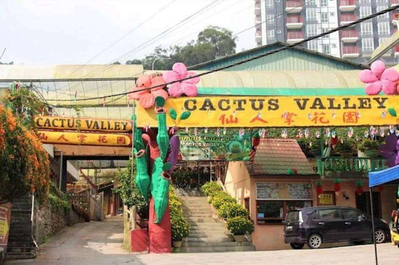 Cameron Highlands Private Day Trip - What the private format changes