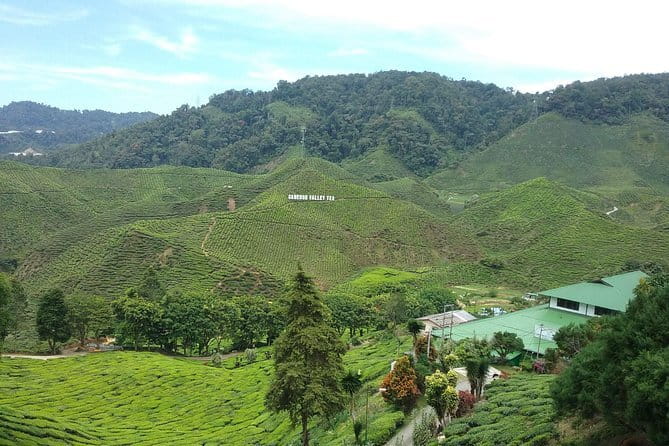 Cameron Highlands Sightseing Tour - Key points at a glance