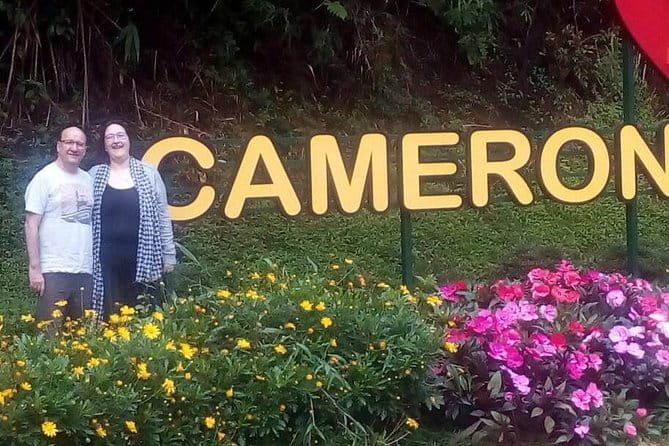 Cameron Highlands Sightseing Tour - Boh tea views and the factory visit