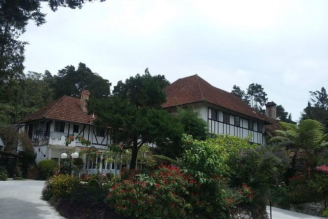 Cameron Highlands Sightseing Tour - Timing, transport, and who will enjoy it