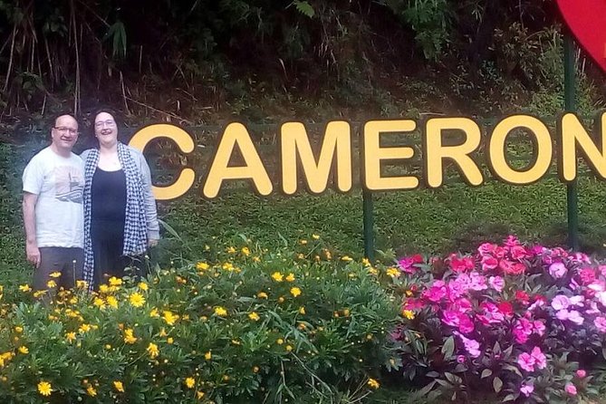 Cameron Highlands Sunrise Discovery - Walking through the Mossy Forest