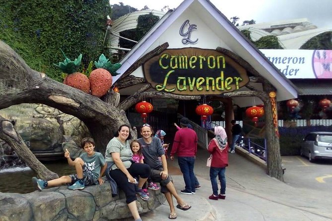 Cameron Highlands Sunrise Discovery - What your guide adds to the morning