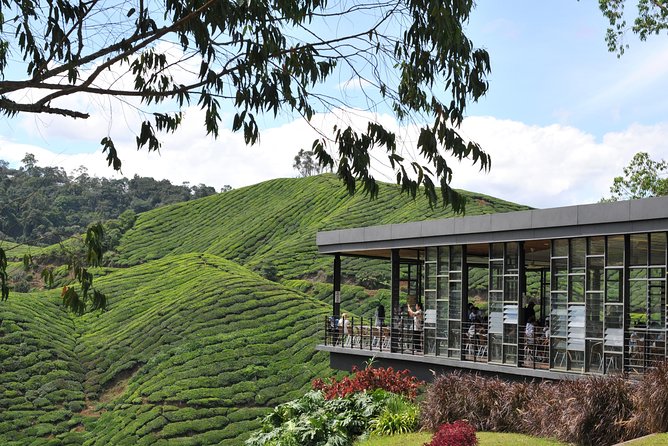 Cameron Highlands Tour From Kuala Lumpur (Private Tour) - Leaving Kuala Lumpur at 7:00 am