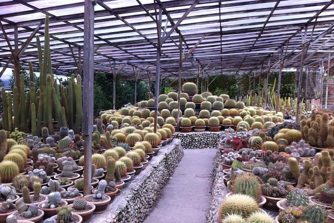 Cameron Highlands Tour From Kuala Lumpur (Private Tour) - Ringlet, local farming, and the honey farms