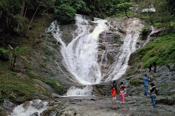 Cameron Highlands Tour on Private Basis - Lata Iskandar Waterfalls and the forest stop