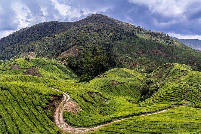 Cameron Highlands Tour on Private Basis - Meeting the indigenous community