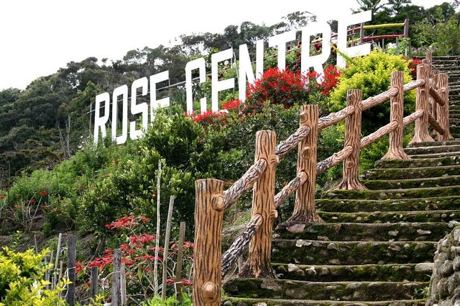 Cameron Highlands Tour on Private Basis - How the private format affects the day