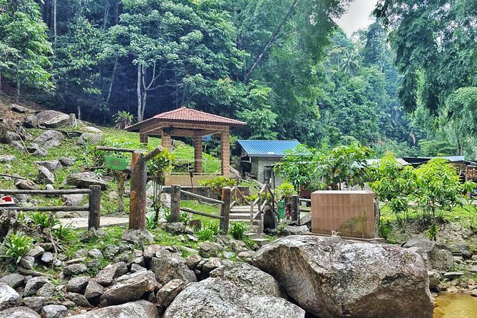 Cameron Highlands with Lunch Guided Day Tour (SIC/Shared Tour) - Pickup details that can make or break the morning