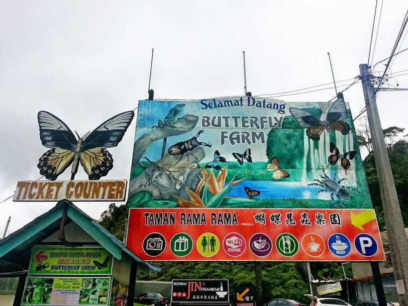Cameroon Highland : Best nature in highland - Butterfly Park, bee farm, and insect garden