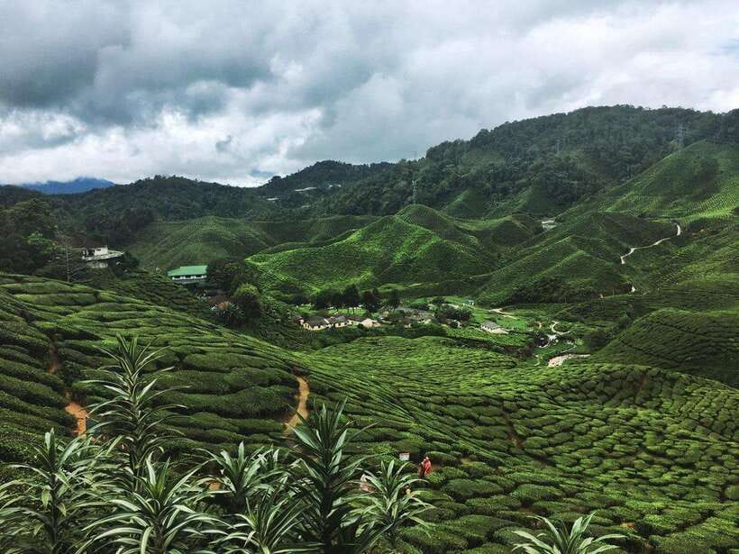 Cameroon Highland : Best nature in highland - The early departure and three-hour road journey