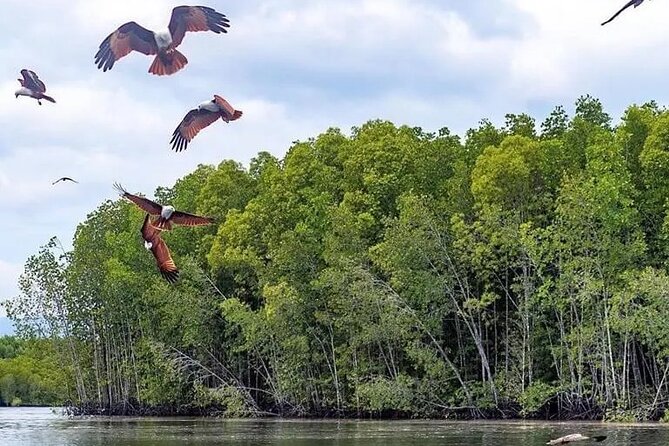Combo - Cable Car & Sky Bridge And Tg. Rhu Mangrove Private Boat Tour With Lunch - What the tour does well