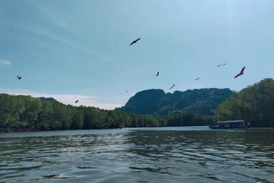 Combo Langkawi Cable Car & Sky Bridge With Mangrove Private Boat
