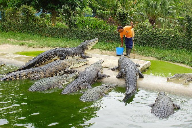 Customize Langkawi Full Day Tour (8 hrs-Private Tour) - Crocodile Adventureland in 30 minutes