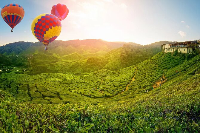 Day Trip to Cameron Highlands: Nature Escape from Kuala Lumpur - Why Cameron Highlands makes a worthwhile escape