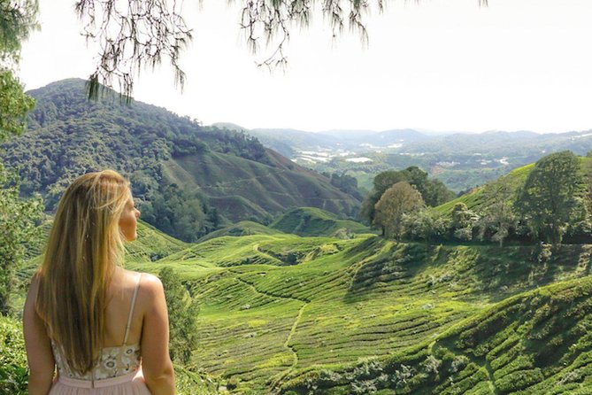 Day Trip to Cameron Highlands: Nature Escape from Kuala Lumpur - Tanah Rata and the Bharat Tea views