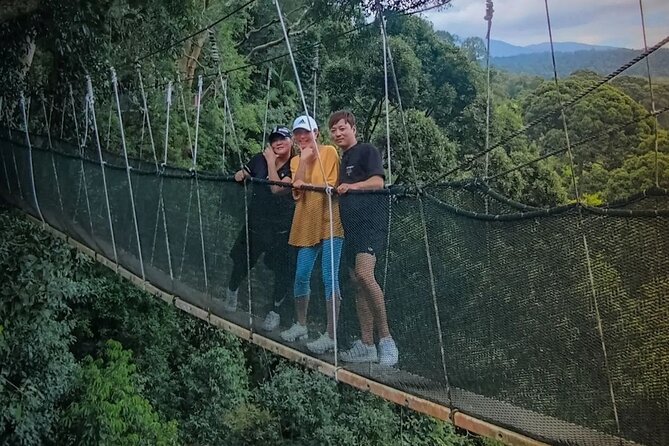 Day Trip to Kinabalu Park and Poring Hot Spring Guided Tour - Key points at a glance