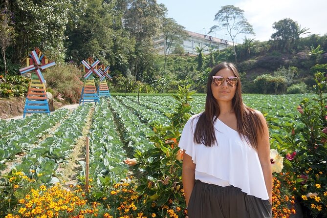 Elevate Your Senses: A Day of Wonders in Cameron Highlands! - Leaving Kuala Lumpur at 7:00 am
