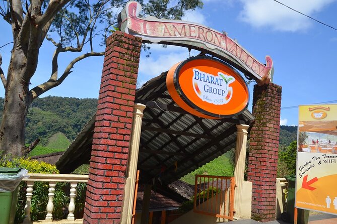 Elevate Your Senses: A Day of Wonders in Cameron Highlands! - Flowers at the Orchid and Rose Garden