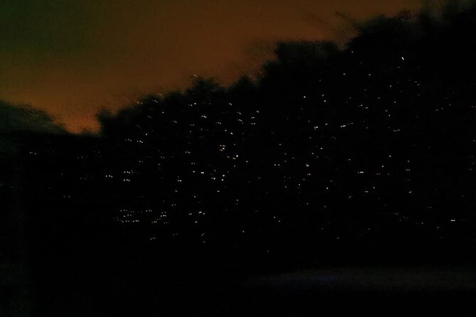 Fireflies & Silver leaf monkey Gazing tour - The Kampung Kuantan firefly park after sunset