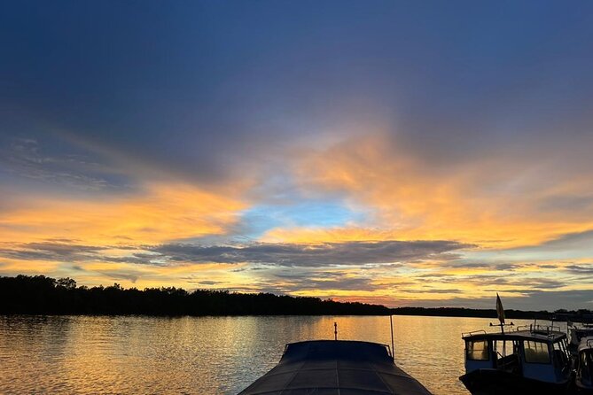 Fireflies & Silver leaf monkey Gazing tour - What the $57.27 price really covers
