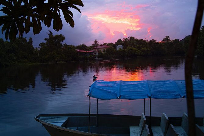 Fireflies Tour in Cherating - Gliding Along the Cherating River