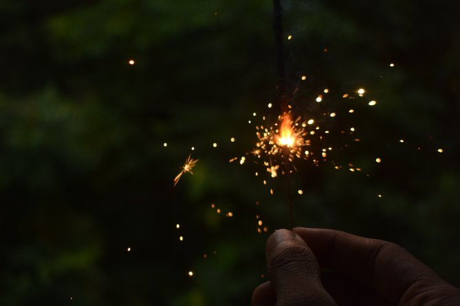 Fireflies Tour in Cherating - How Much Value Do You Get for $18?