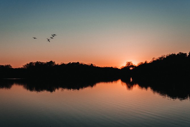 Fireflies Tour in Cherating - Why the Mangroves Matter to the Experience