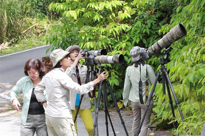 Fraser's Hill Bird-Watching & Nature Sightseeing Tour from Kuala Lumpur - The 5:30am Pickup from Kuala Lumpur