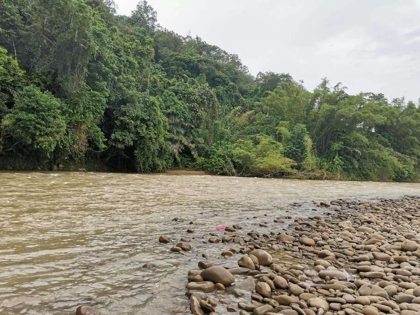 From Kota Kinabalu : Kiulu White Water Rafting Tour + meal - Who should book this Kiulu rafting trip?