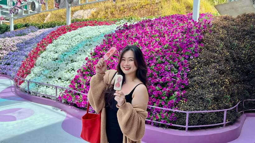 From Kuala Lumpur: Cameron Highlands Day Tour with Lunch - Lunch with local flavors and mountain views