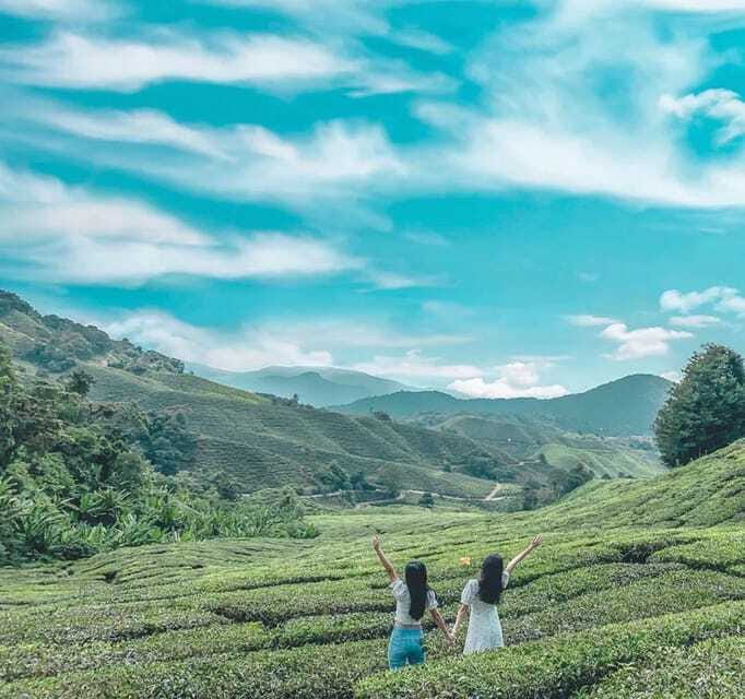From Kuala Lumpur: Cameron Highlands Day Trip with Transfers - Key points at a glance