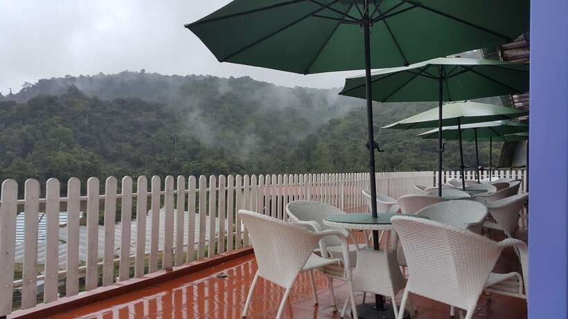 From Kuala Lumpur: Cameron Highlands Full-Day Tour - The Orang Asli stop, when available