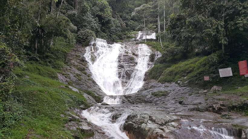 From Kuala Lumpur: Cameron Highlands Full-Day Tour - Bharat Tea Plantation is the day’s highlight