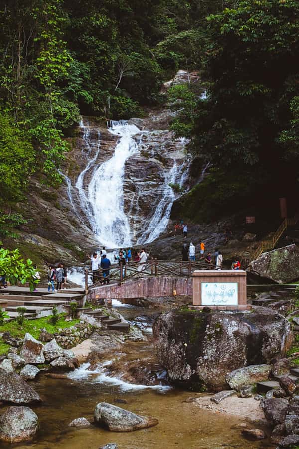 From Kuala Lumpur: Cameron Highlands Private or Join In Tour - Guides make a major difference on a long day